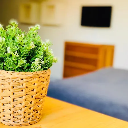 Estudio 4 En El Centro De Apartamento *