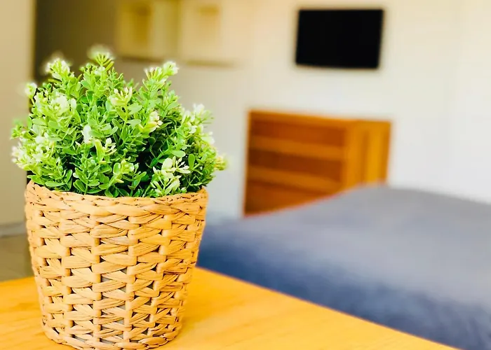 Estudio 4 En El Centro De Apartman *